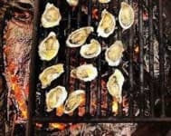 Sample of Oyster
