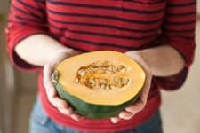 Sample of Acorn squash