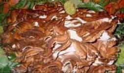 Sample of Hen of the woods