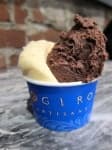 Sample of Ice cream