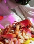 Sample of American lobster