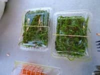 Sample of Seaweed salad