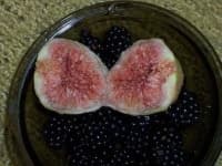 Sample of Fig