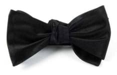 Bowtie image dataset preview