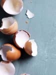 Egg shell image dataset preview