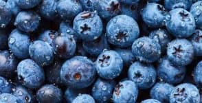 Sample of Blueberry