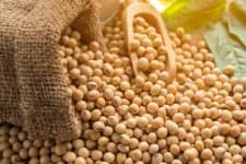 Sample of Beans