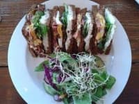 Club sandwich image dataset preview