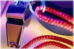 Sample of Whistle