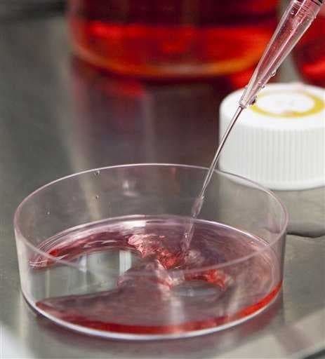 Sample of Petri dish