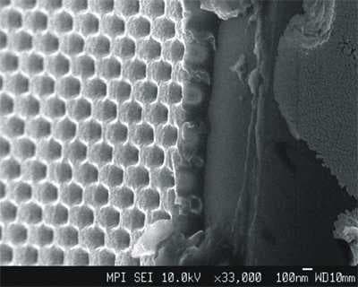 Honeycomb image dataset preview