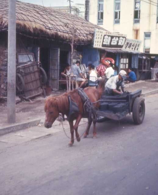 Sample of Horse cart