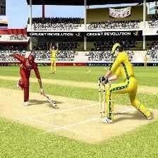 Sample of Cricket
