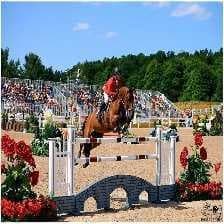 Sample of Horse jumping