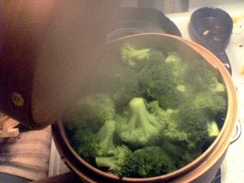 Sample of Broccoli