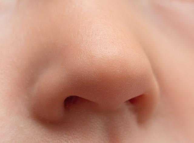 Sample of Nose