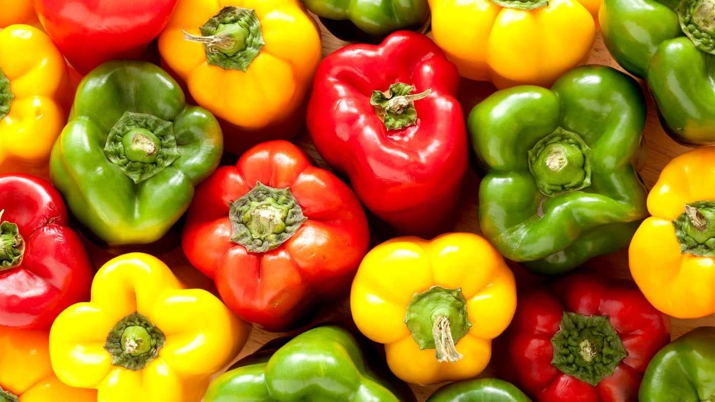 Sample of Capsicum