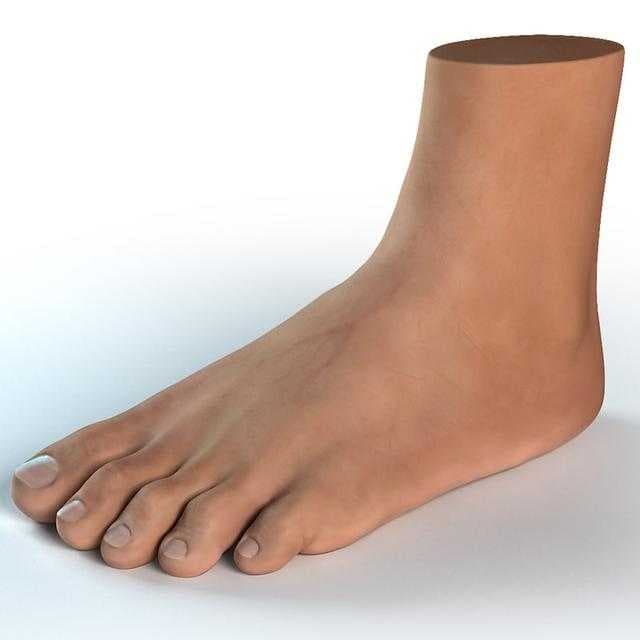 Sample of Foot