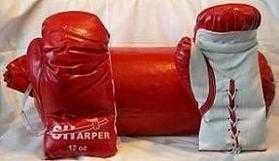 Sample of Punching bag