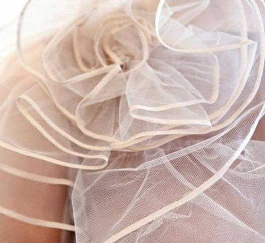 Sample of Gauzy