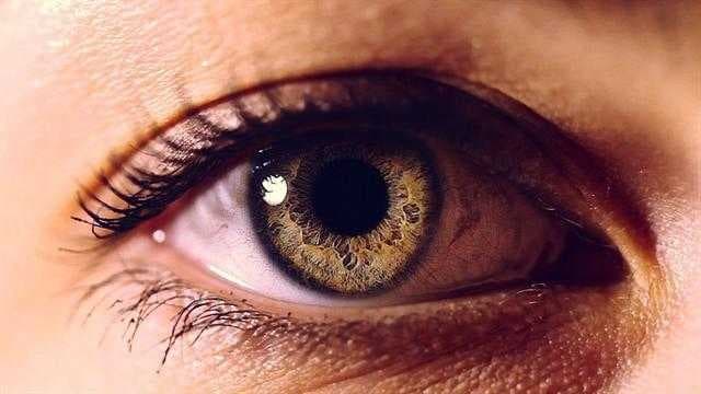 Sample of Eye