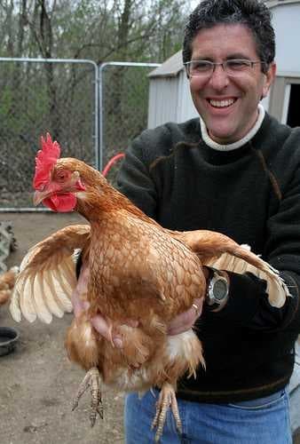 Sample of Cock