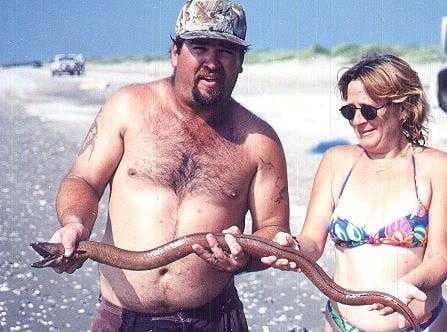 Sample of Eel