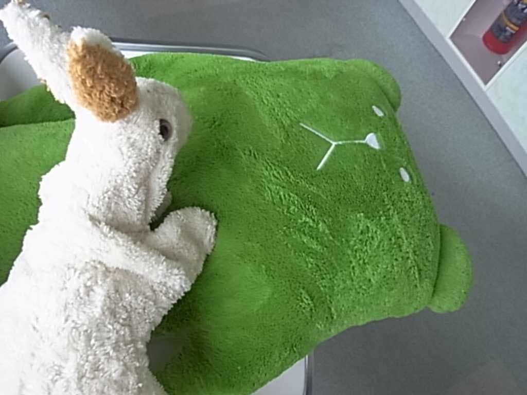 Sample of Rabbit