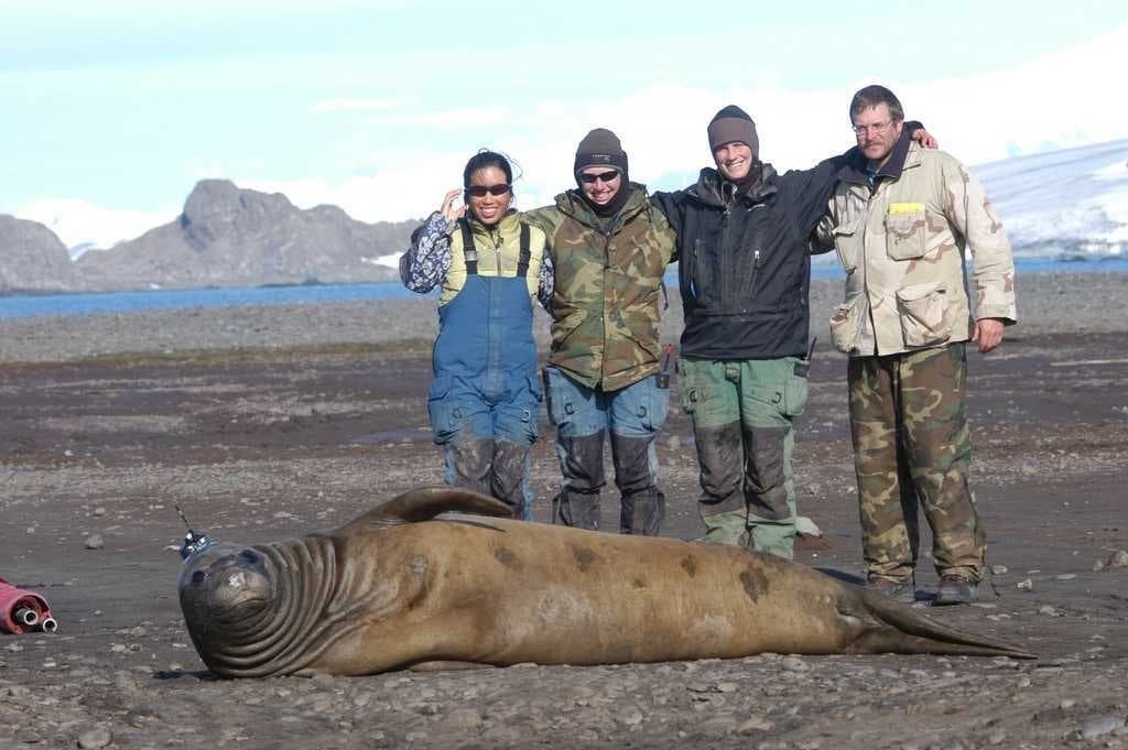 Sample of Sea lion