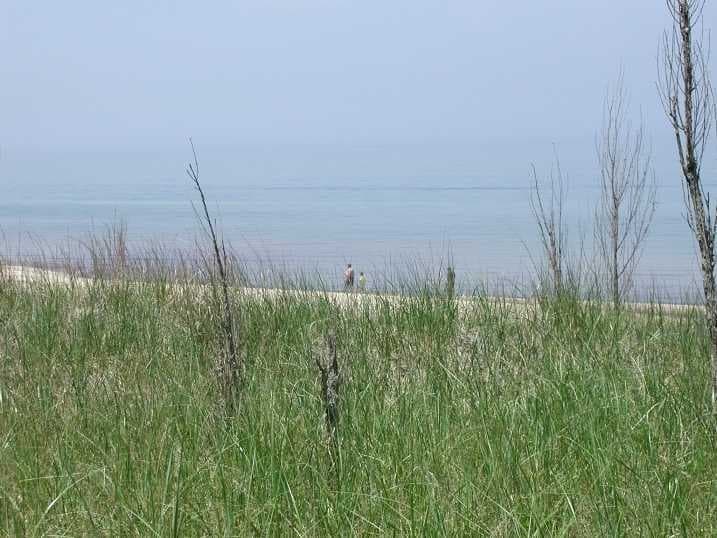 Sample of Lakeside