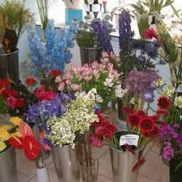 Sample of Florist