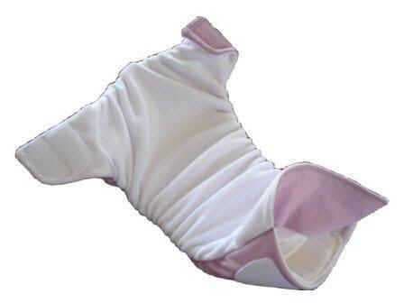 Sample of Diaper