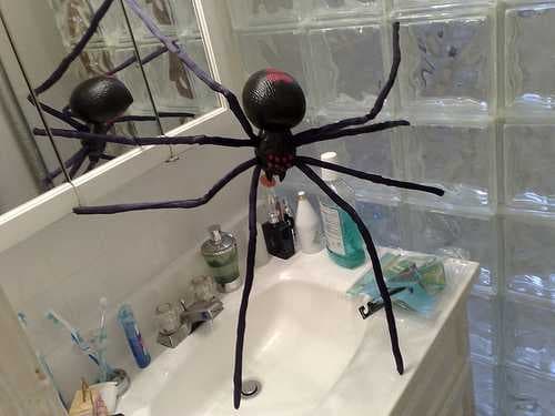Sample of Black widow