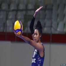 Sample of Volleyball