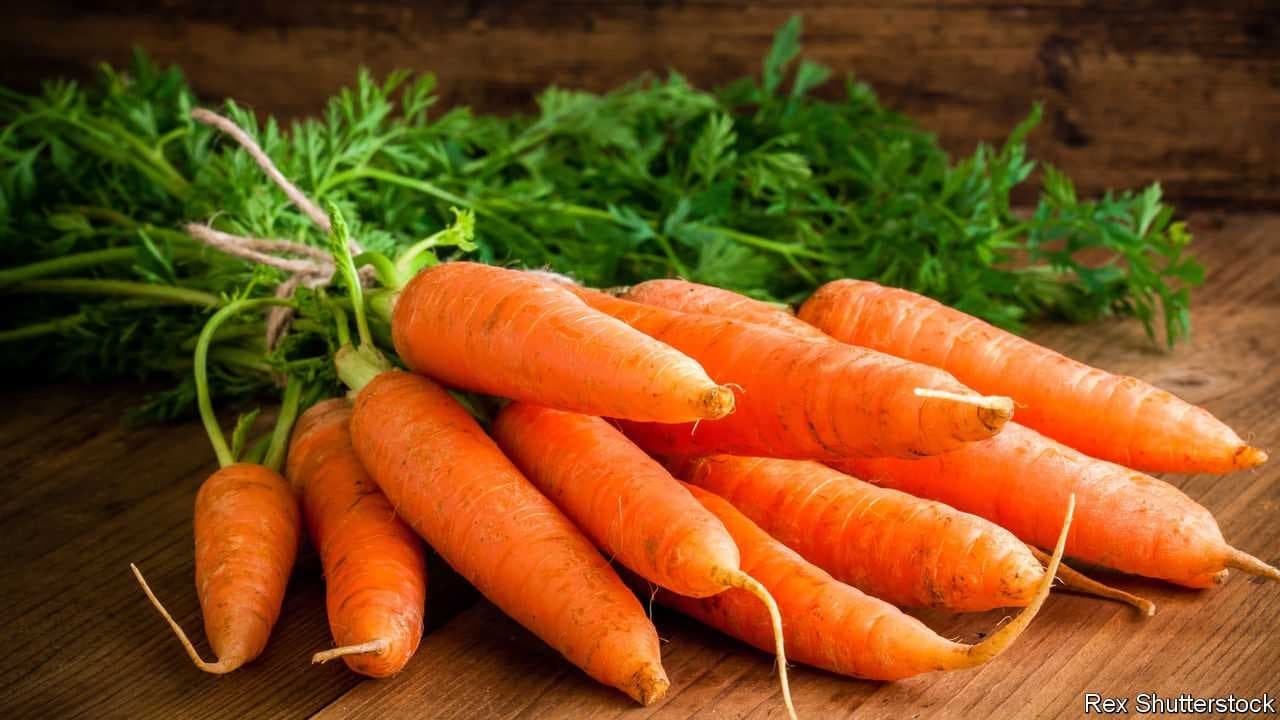 Sample of Carrot