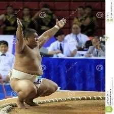 Sample of Sumo wrestling