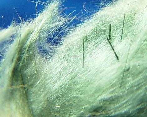 Sample of Fibrous