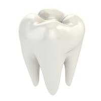 Sample of Tooth