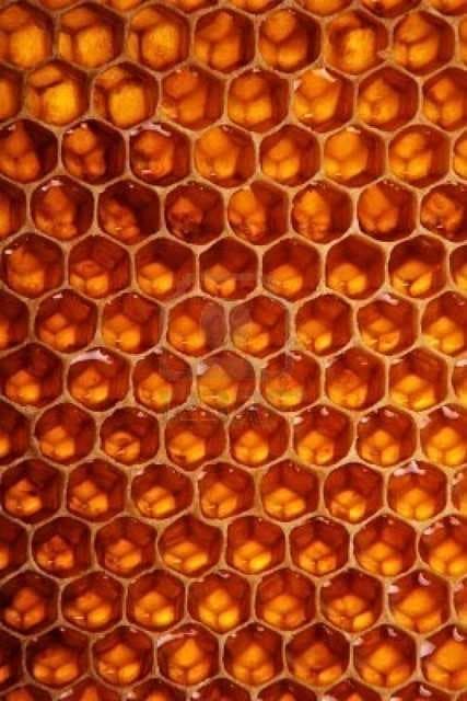 Honeycombed image dataset preview