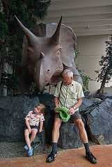 Triceratops image dataset preview