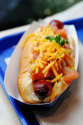 Sample of Hotdog