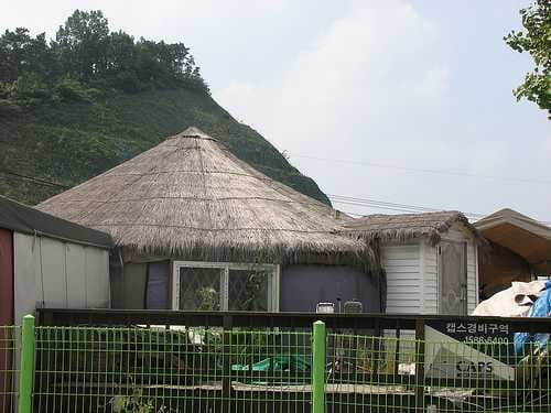 Sample of Thatch