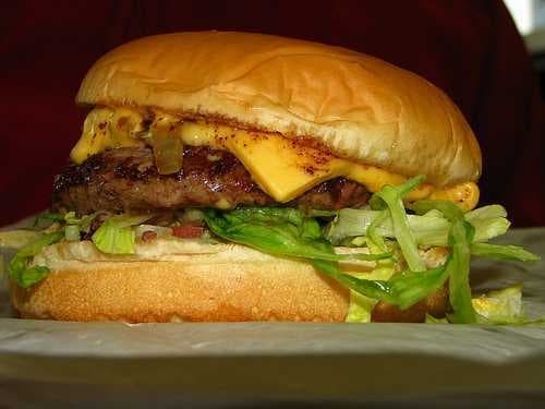 Sample of Cheeseburger
