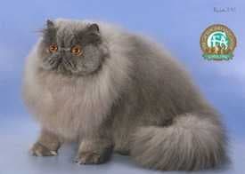 Sample of Persian