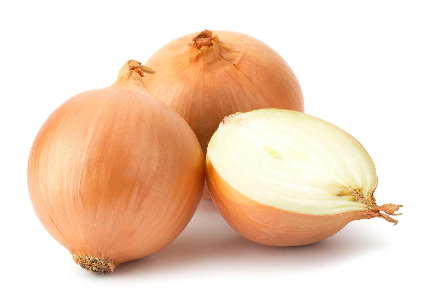Sample of Onion
