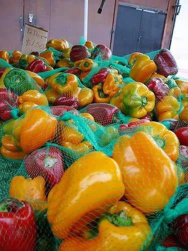 Sample of Bell pepper