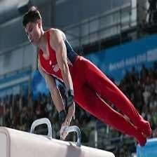 Sample of Pommel horse