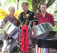 Sample of Steel drum