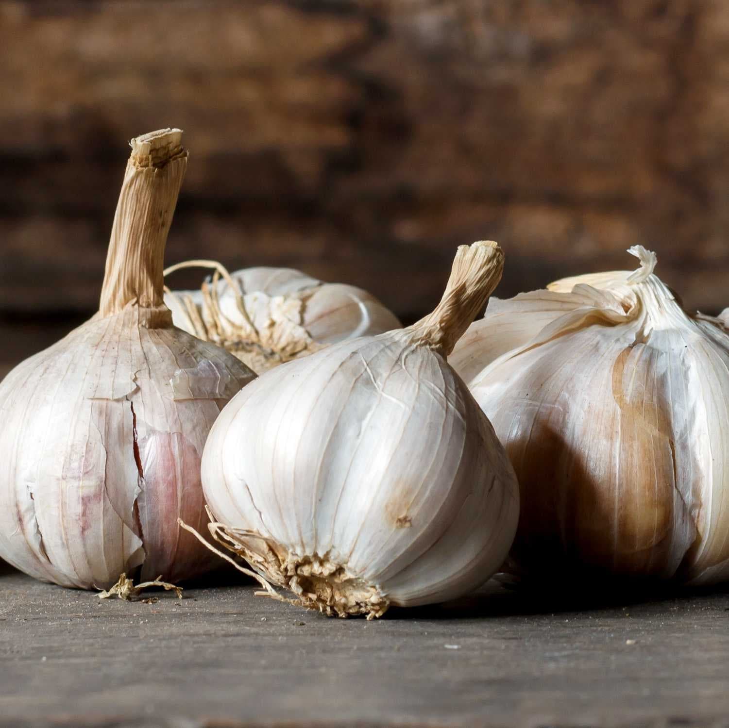 Sample of Garlic