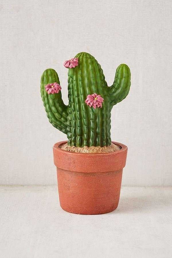 Sample of Cactus
